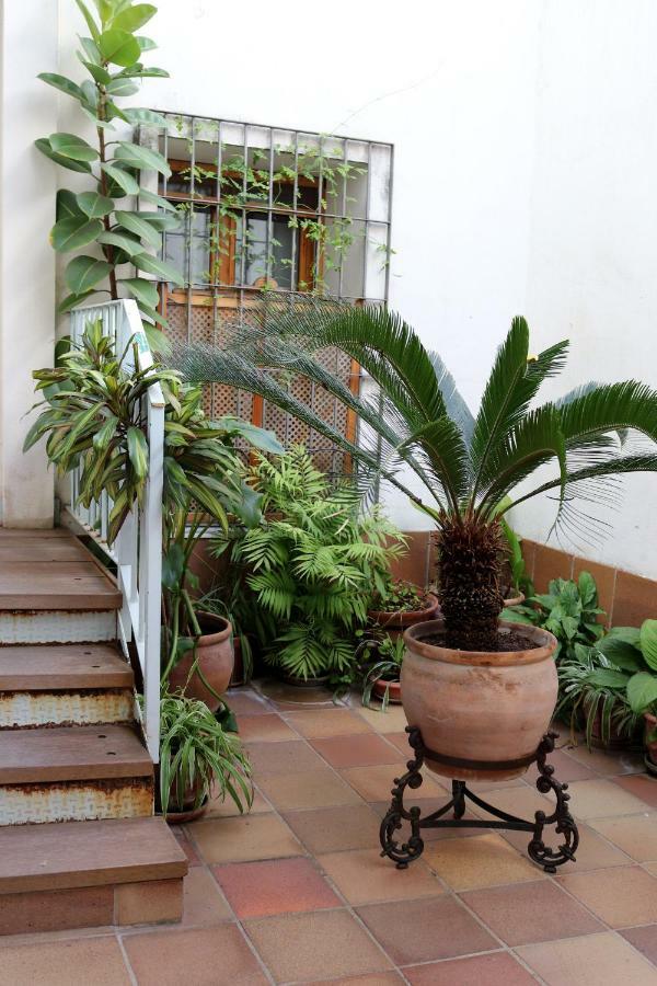 Apartamento Plaza De La Magdalena Apartamento Córdoba