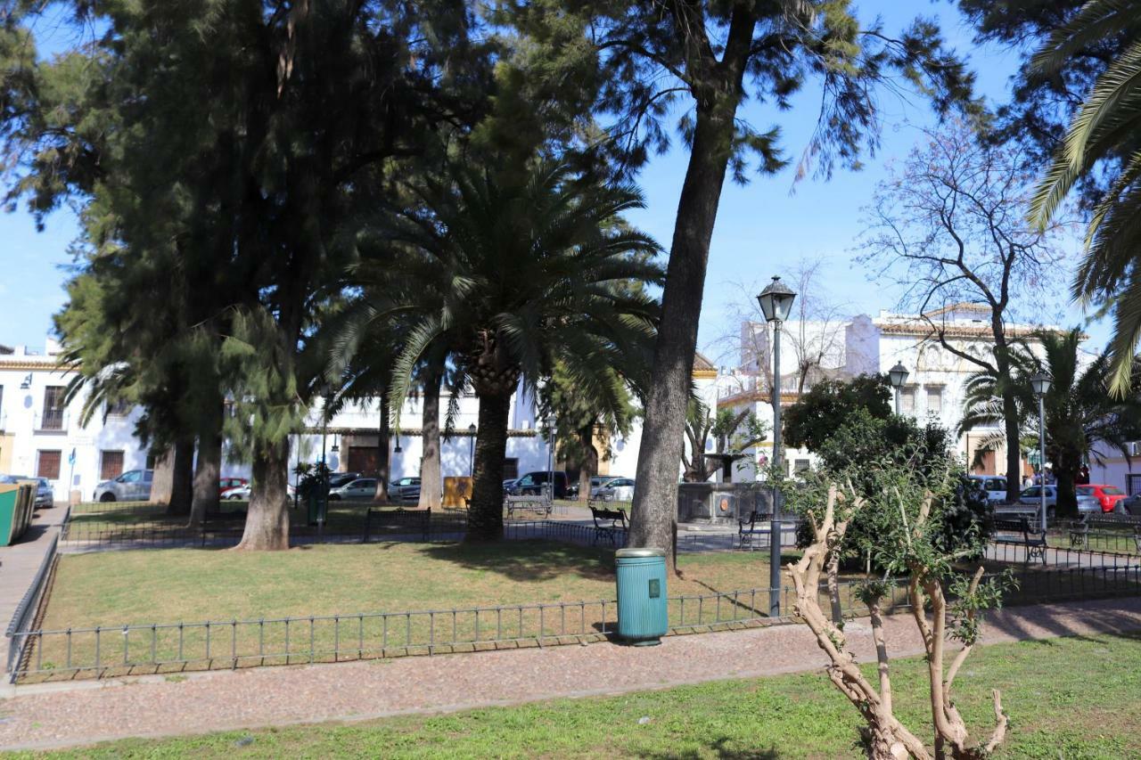 Apartamento Plaza De La Magdalena Apartamento *